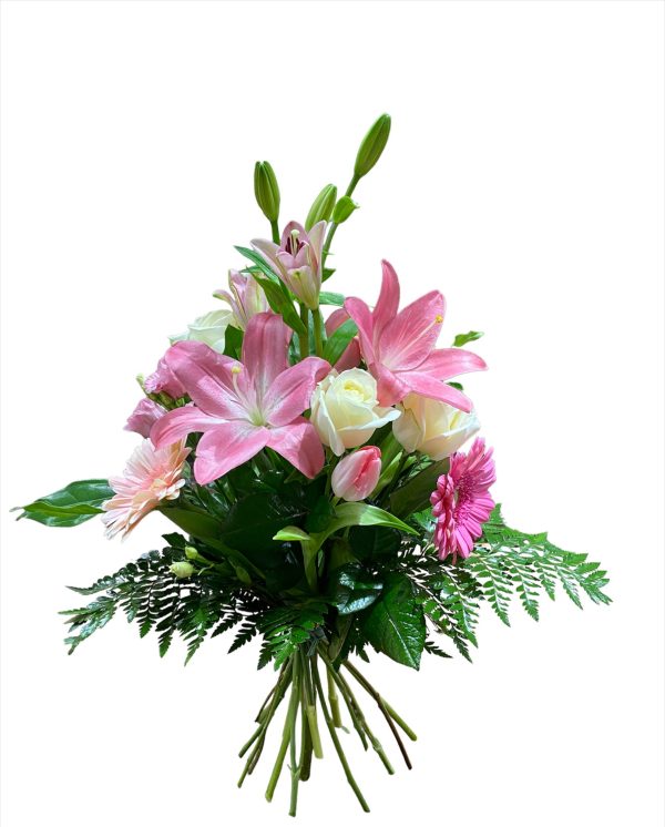 Pinocchio: Mazzo Pink and White