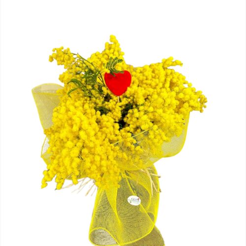 cuore mimosa