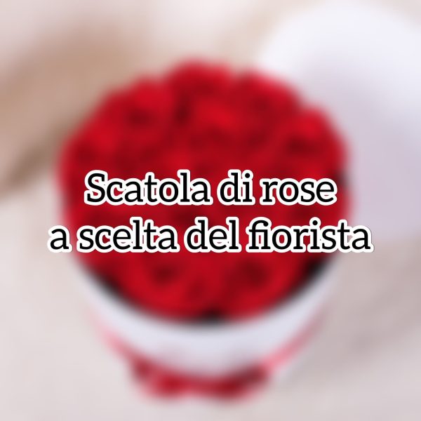 Daisy: Box di Rose a scelta del fiorista( piccola )