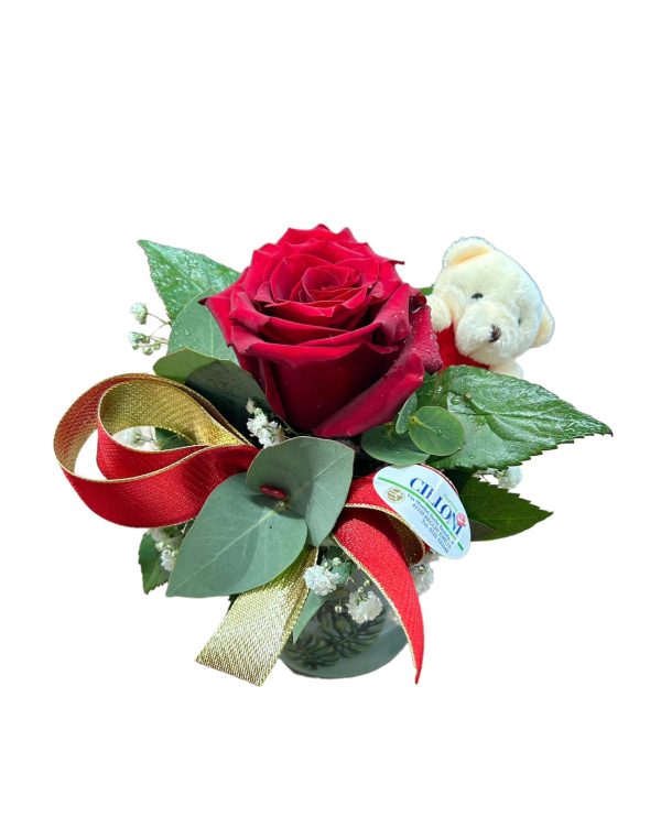 Matilde: Rosa in vasetto con orsacchiotto
