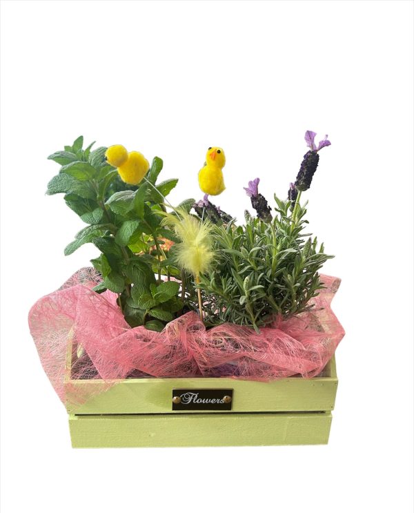 Cassetta con aromatiche