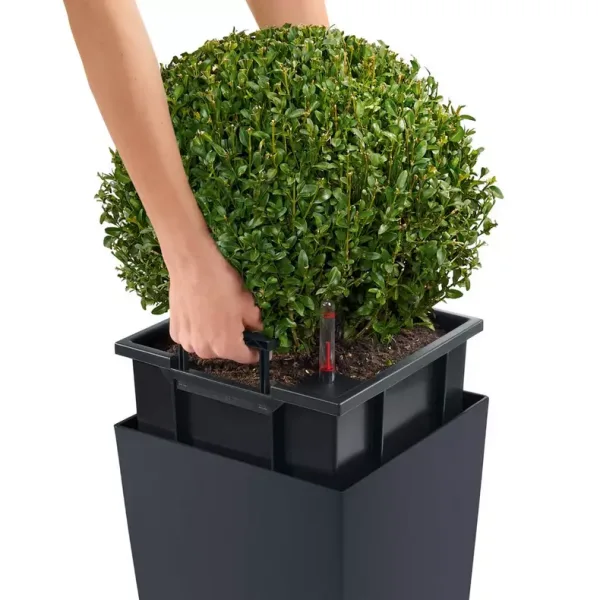 Cubico premium 40 - immagine 6