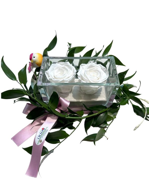 Bianco purezza di Rose