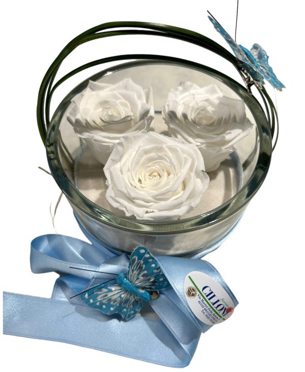 Amore eterno rose