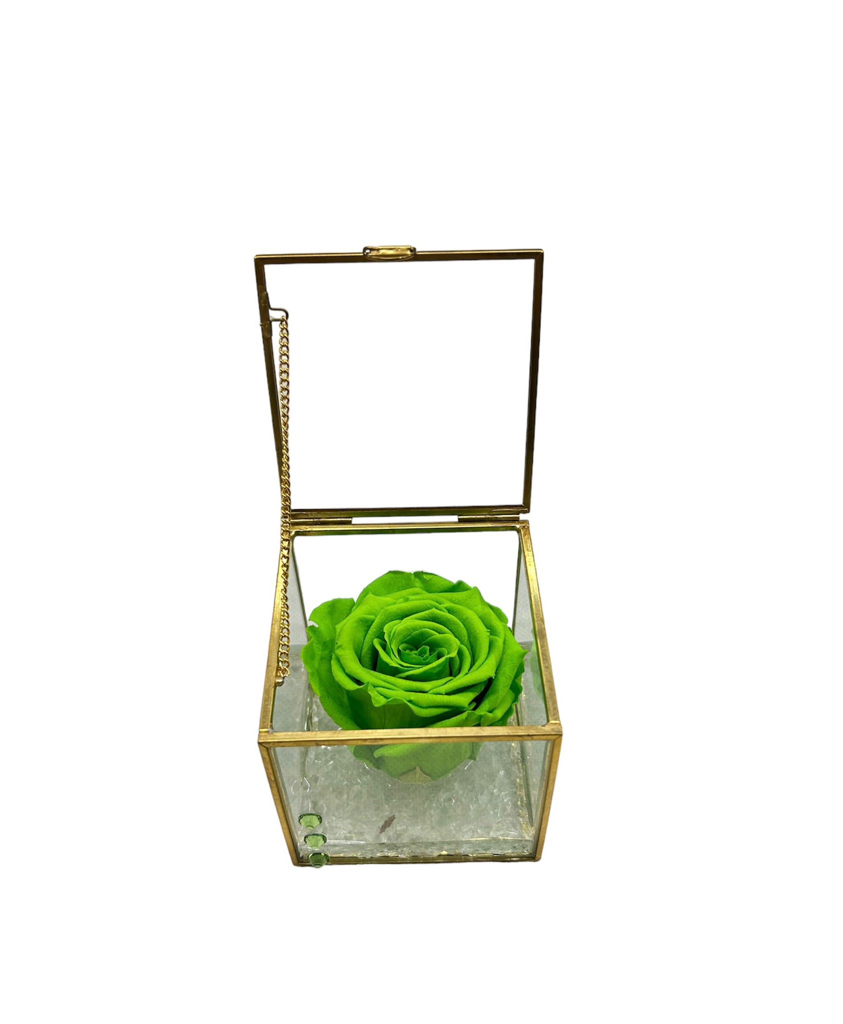 Profumo di Rosa - immagine 2