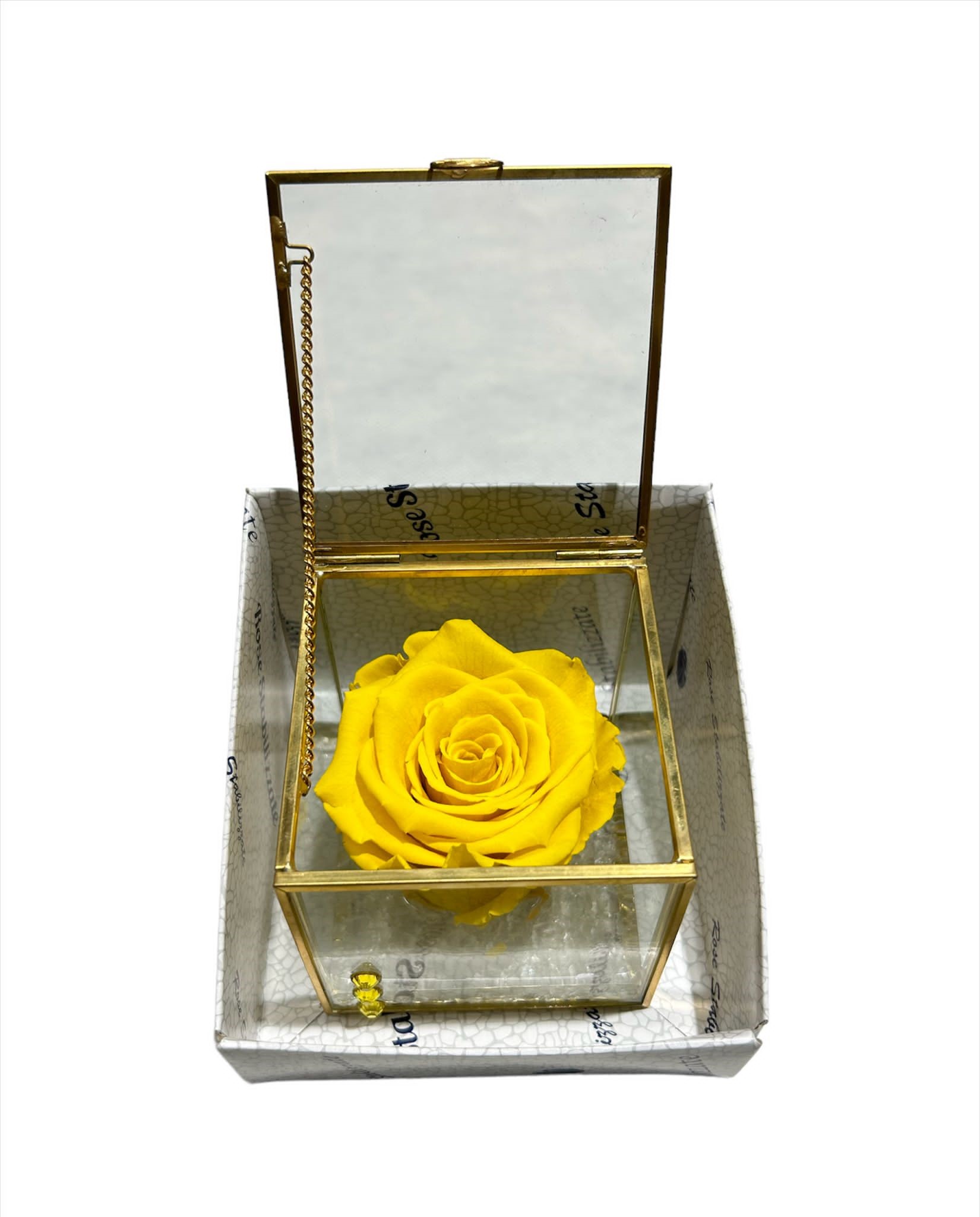 ROSA STABILIZZATA