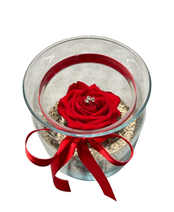Bontà di Rosa