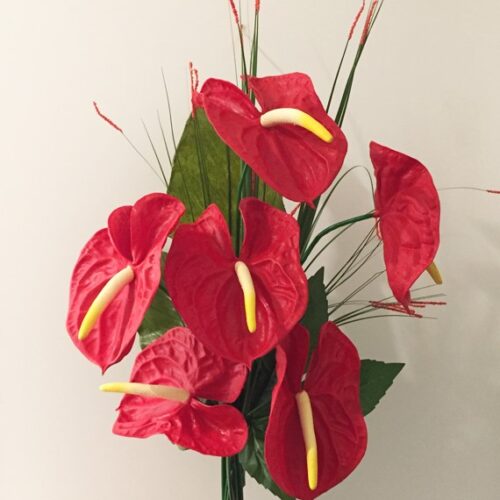 Mazzo di Anthurium