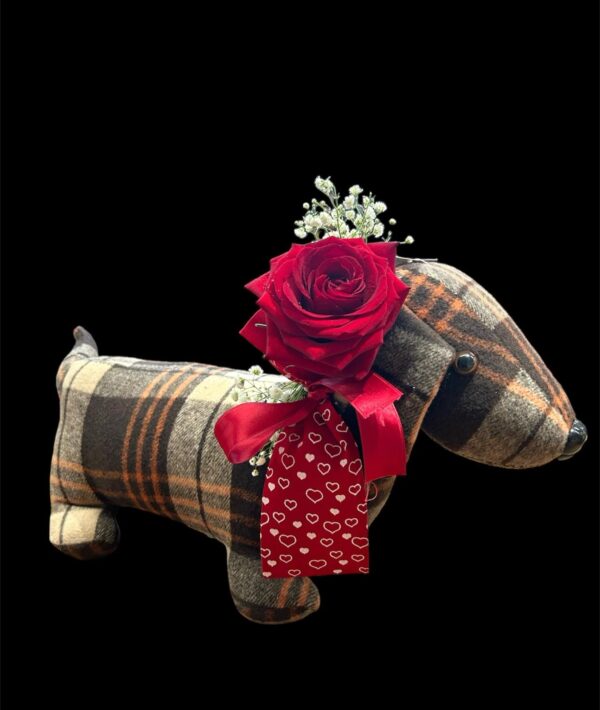 Peluche romantico