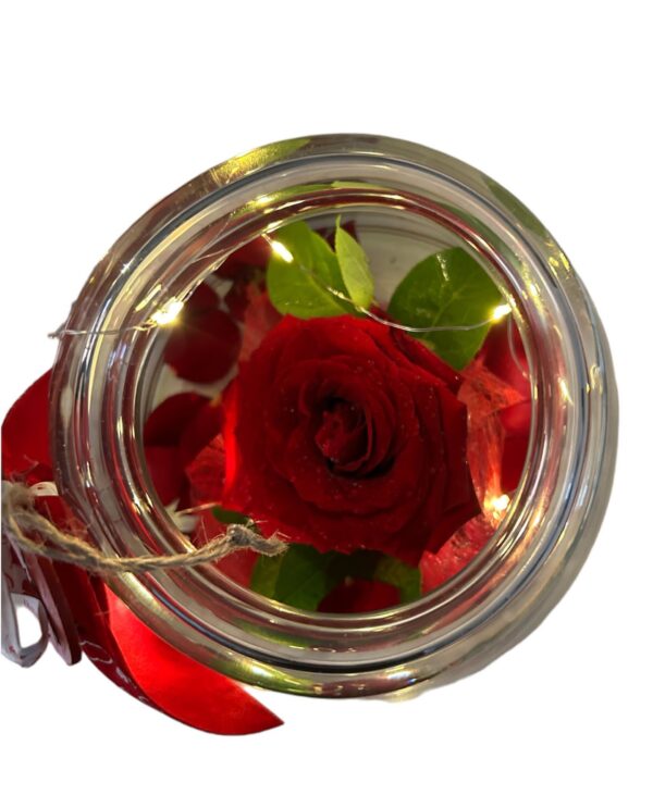 rosa stabilizzata in vaso di vetro
