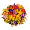 Bouquet campestre con Mimosa