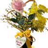 Lilia: Rosa per la donna perfetta - immagine 3