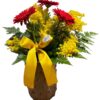 Gerbere e Mimosa