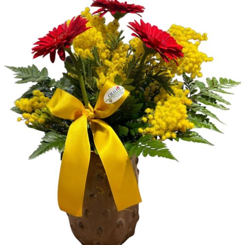 Gerbere e Mimosa