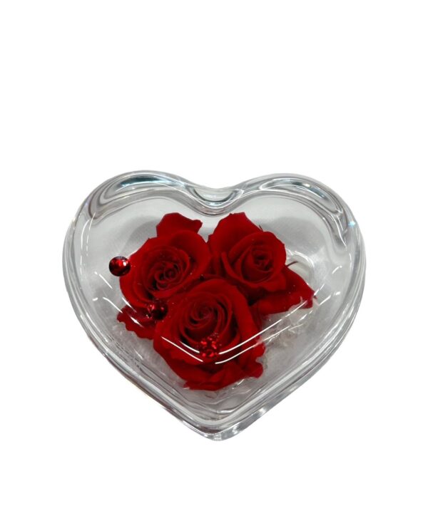 cuore di vetro con rose stabilizzate 1