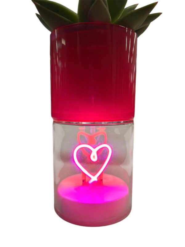 Cuore luminoso con piantina grassa - immagine 3