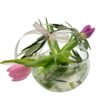 tulipani