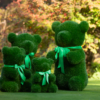 EDG - Decoro Erba Orso - immagine 3