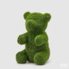 decoro erba orso