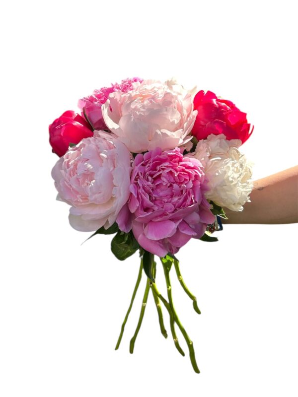 bouquet di peonie