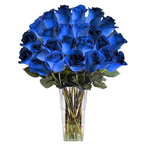 mazzo di rose blu