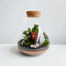 terrarium green mix