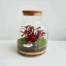 terrarium fittonia