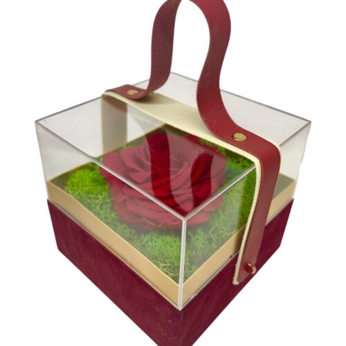 box rosa stabilizzata