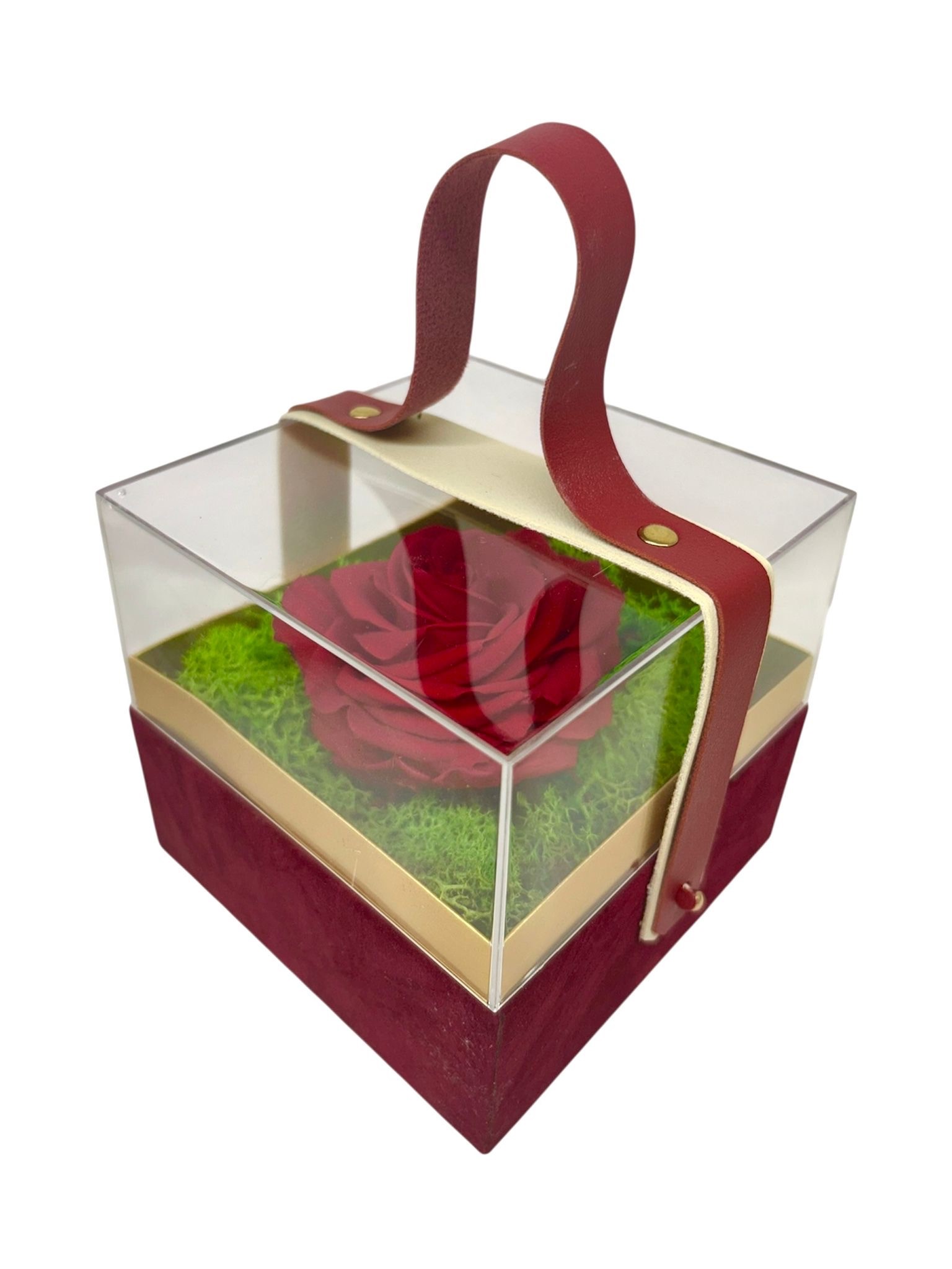 box rosa stabilizzata