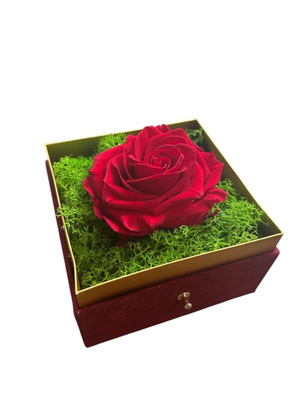 Box Rosa stabilizzata - immagine 2