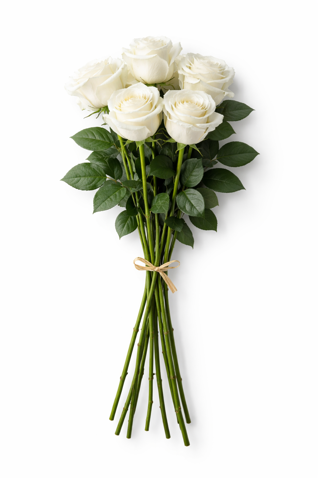 mazzo di rose bianche