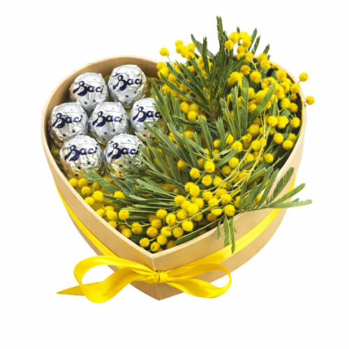 mimosa festa della donna