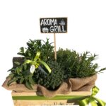 CASSETTA CON PIANTE AROMATICHE