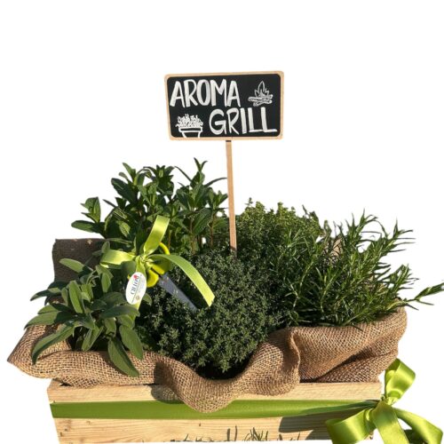 CASSETTA CON PIANTE AROMATICHE