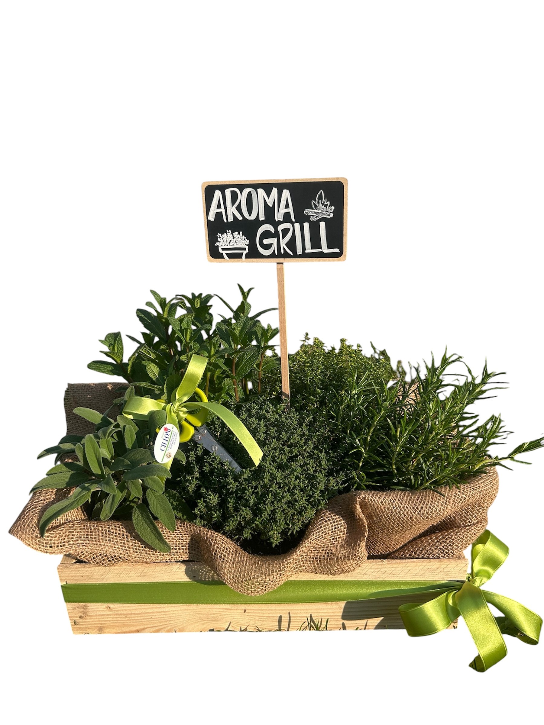 CASSETTA CON PIANTE AROMATICHE